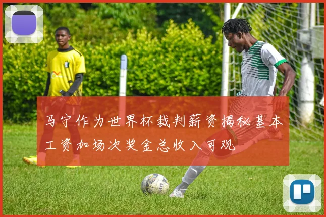 马宁作为世界杯裁判薪资揭秘基本工资加场次奖金总收入可观