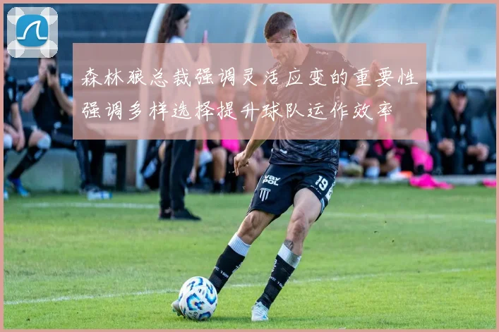 森林狼总裁强调灵活应变的重要性强调多样选择提升球队运作效率