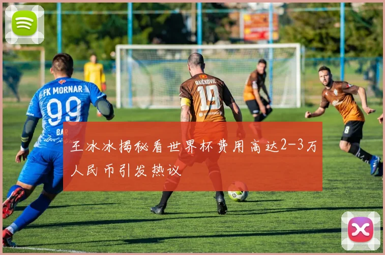 王冰冰揭秘看世界杯费用高达2-3万人民币引发热议
