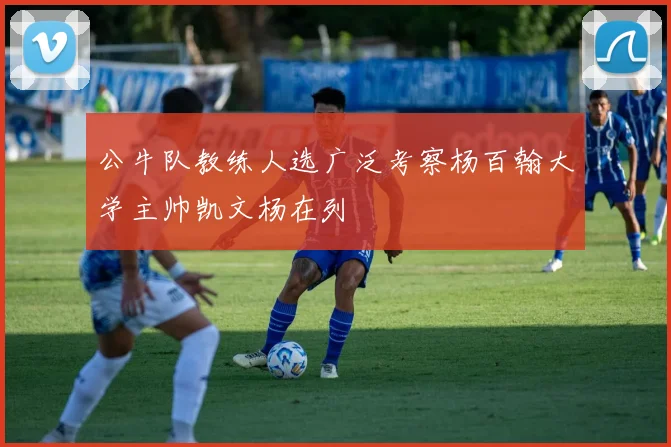 公牛队教练人选广泛考察杨百翰大学主帅凯文杨在列