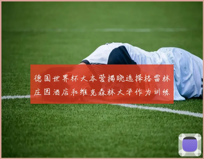 德国世界杯大本营揭晓选择格雷林庄园酒店和维克森林大学作为训练基地